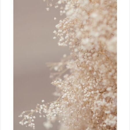Πόστερ BLURRED WHITE FLOWERS - Botanical - Λουλούδια Sticky 2