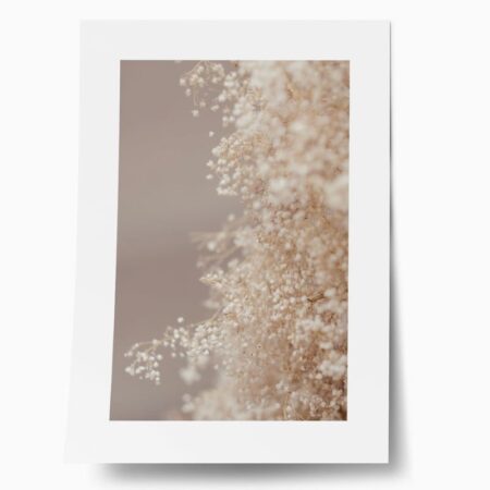 Πόστερ BLURRED WHITE FLOWERS - Botanical - Λουλούδια Sticky 1
