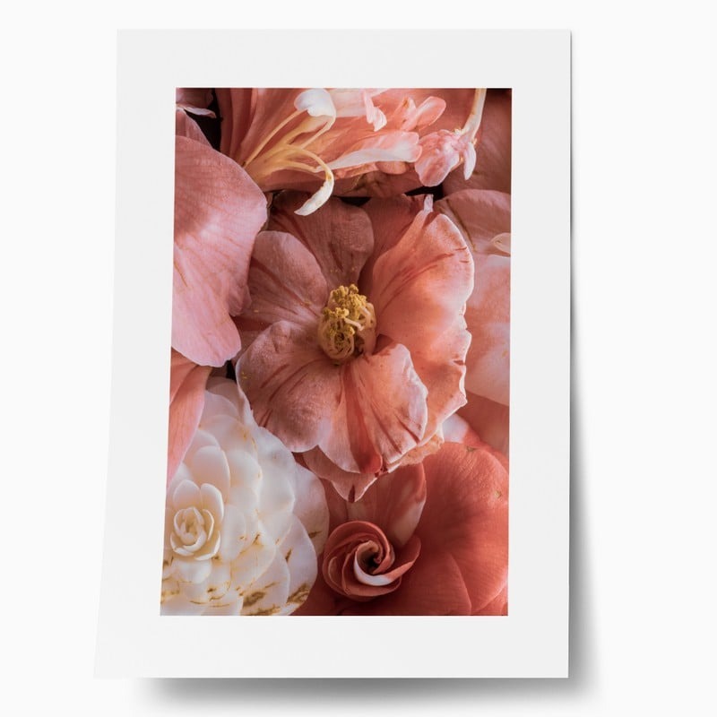 Πόστερ CAMELLIA BLOSSOM