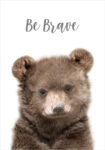 Πόστερ CUTE BEAR