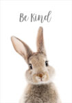 Πόστερ CUTE BUNNY