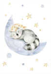 Πόστερ CUTE DREAMING RACOON