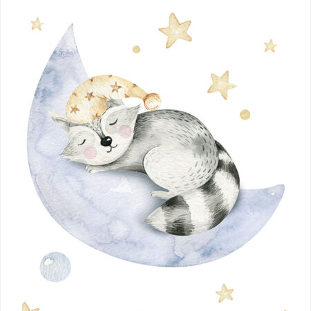 Πόστερ CUTE DREAMING RACOON - Παιδικά Sticky 2