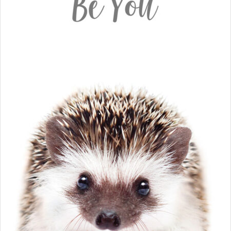 Πόστερ CUTE HEDGEHOG - Παιδικά Sticky 2