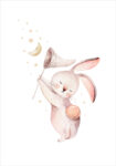 Πόστερ CUTE RABBIT WITH STARS