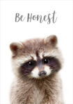 Πόστερ CUTE RACOON