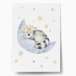 Πόστερ CUTE DREAMING RACOON