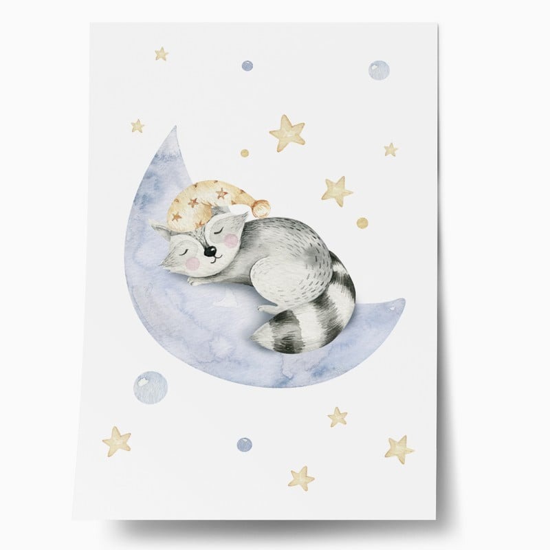 Πόστερ CUTE DREAMING RACOON