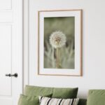Πόστερ DANDELION