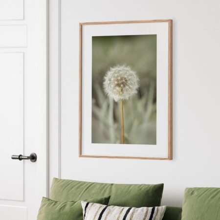 Πόστερ DANDELION