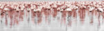 Πίνακας Πανοραμικός FLAMINGOS