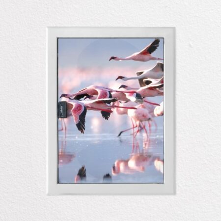 Αυτοκόλλητο ηλεκτρολογικού πίνακα FLAMINGOS - Αυτοκολλητα για ηλεκτρολογικούς πίνακες