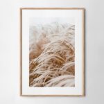 Πόστερ FROSTED GRASS