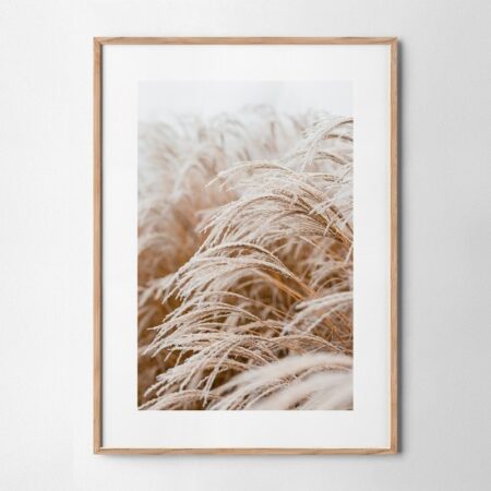 Πόστερ FROSTED GRASS - Τοπια - Φυση