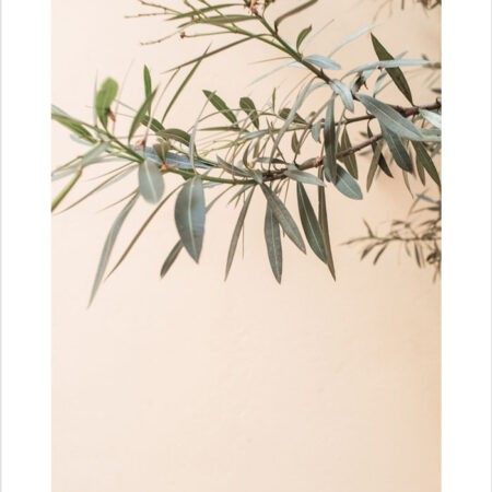 Πόστερ GREEN LEAVES BRANCHES - Botanical - Λουλούδια Sticky 2