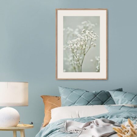 Πόστερ GYPSOPHILA - Botanical - Λουλούδια