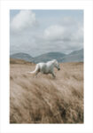 Πόστερ HORSE ON FIELD