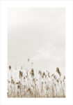 Πόστερ MINIMAL NATURE