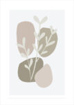 Πόστερ MINIMALIST BOTANICAL ART