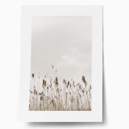 Πόστερ MINIMAL NATURE - Τοπια - Φυση Sticky 1