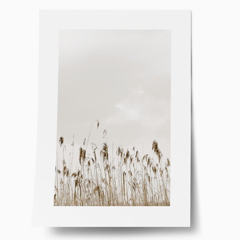 Πόστερ MINIMAL NATURE