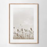 Πόστερ MINIMAL NATURE