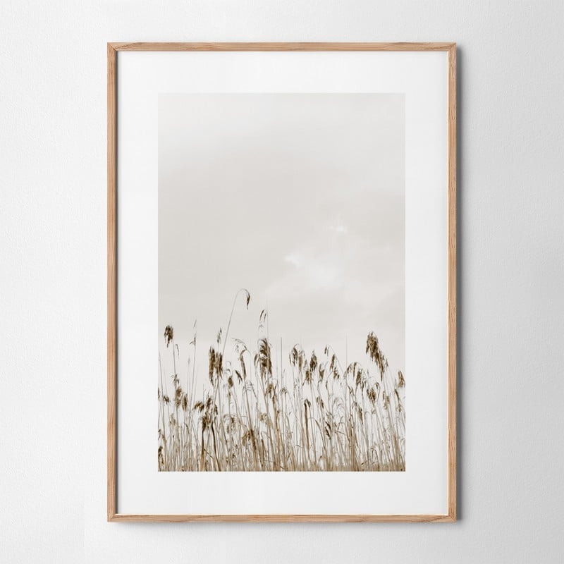 Πόστερ MINIMAL NATURE