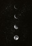 Πόστερ MOON PHASES