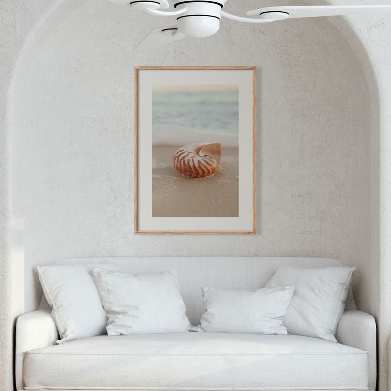 Πόστερ SEA SHELL ON SAND