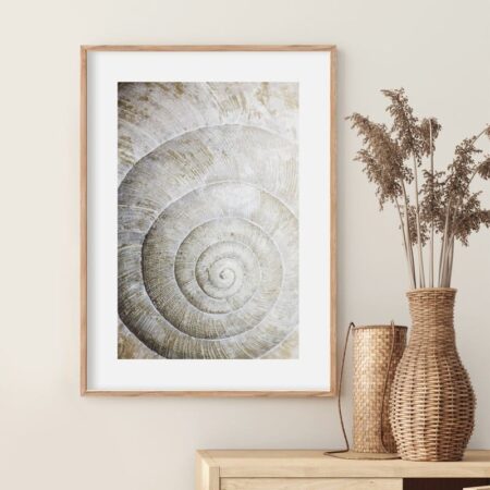 Πόστερ SHELL MACRO