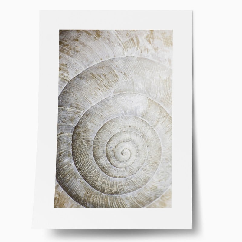 Πόστερ SHELL MACRO