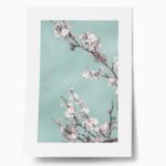 Πόστερ SPRING BLOSSOM CHERRY TREE
