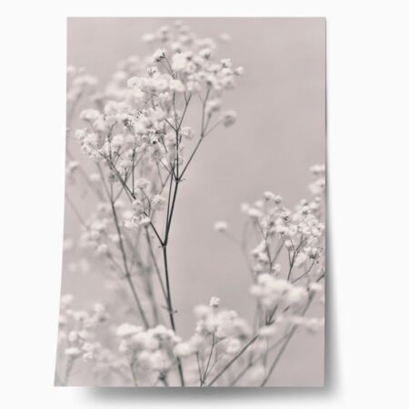 Πόστερ SPRING WHITE FLOWERS - Botanical - Λουλούδια Sticky 1