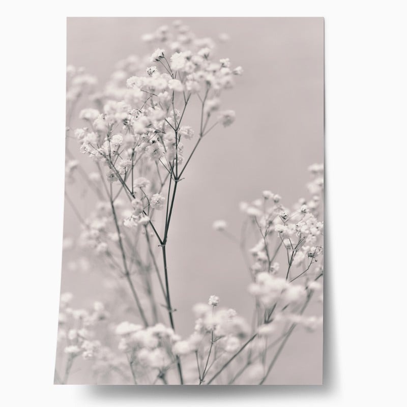 Πόστερ SPRING WHITE FLOWERS
