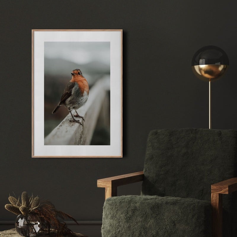 Πόστερ TAME ROBIN