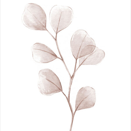 Πόστερ WATERCOLOR EUCALYPTUS LEAVES - Botanical - Λουλούδια Sticky 2