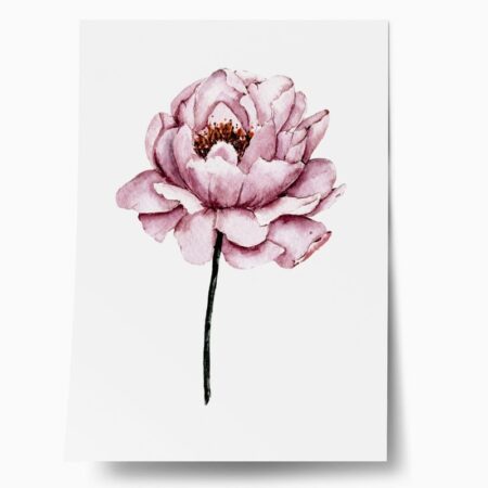 Πόστερ WATERCOLOR PEONY - Botanical - Λουλούδια Sticky 1