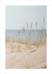 Πόστερ WHITE SAND DUNES