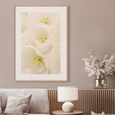 Πόστερ WHITE TULIP FLOWERS - Botanical - Λουλούδια