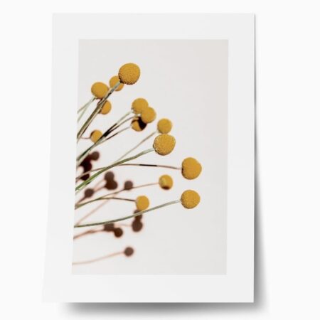 Πόστερ YELLOW DRY FLOWERS - Botanical - Λουλούδια Sticky 1