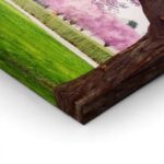 Πίνακας Πανοραμικός σε καμβά CHERRY BLOSSOM TREES ALLEY IN GARDEN