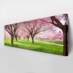 Πίνακας Πανοραμικός σε καμβά CHERRY BLOSSOM TREES ALLEY IN GARDEN