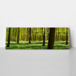 Πίνακας σε καμβά Πανοραμικός FOREST