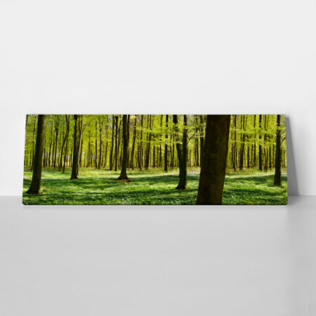 Πίνακας σε καμβά Πανοραμικός FOREST - Δασος Sticky 1