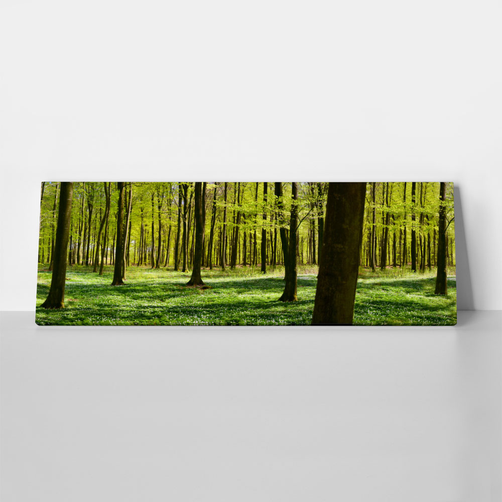 Πίνακας σε καμβά Πανοραμικός FOREST