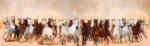 Πίνακας σε καμβά Πανοραμικός HORSES