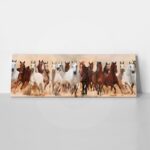Πίνακας σε καμβά Πανοραμικός HORSES