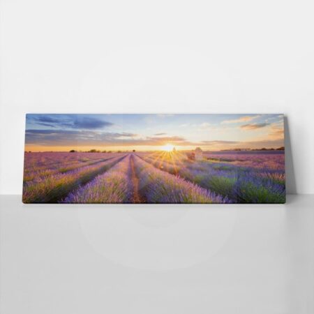Πίνακας Πανοραμικός σε καμβά LAVENDER FIELD IN VALENSOLE - Λεβαντα Sticky 1