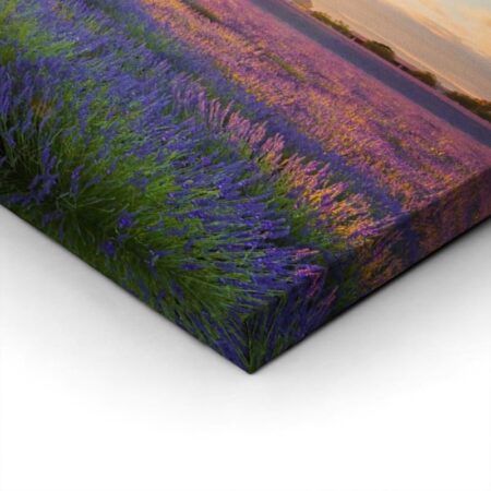 Πίνακας Πανοραμικός σε καμβά LAVENDER FIELD IN VALENSOLE - Λεβαντα Sticky 2