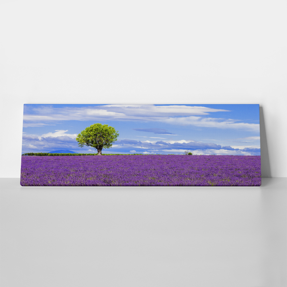 Πίνακας Πανοραμικός LAVENDER FIELD